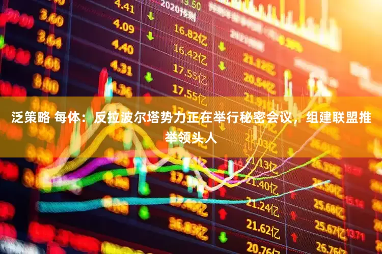 泛策略 每体：反拉波尔塔势力正在举行秘密会议，组建联盟推举领头人
