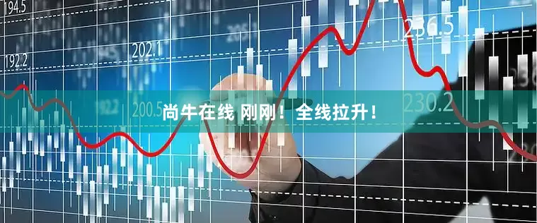 尚牛在线 刚刚！全线拉升！