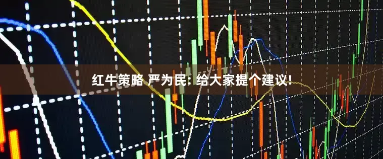 红牛策略 严为民: 给大家提个建议!
