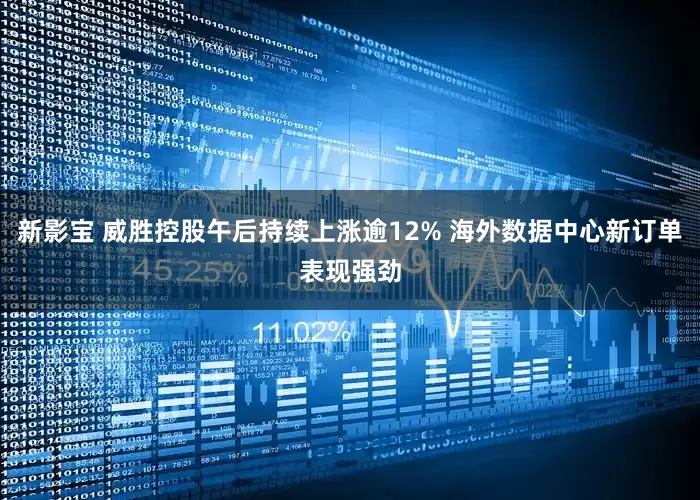 新影宝 威胜控股午后持续上涨逾12% 海外数据中心新订单表现强劲