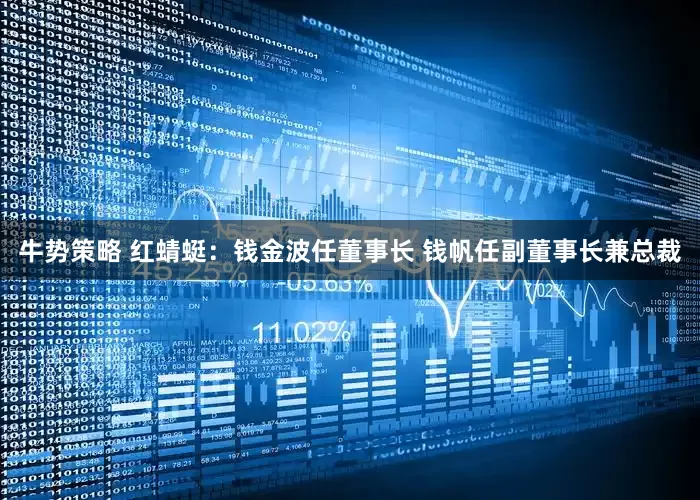 牛势策略 红蜻蜓：钱金波任董事长 钱帆任副董事长兼总裁