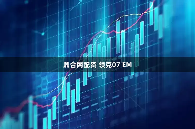 鼎合网配资 领克07 EM